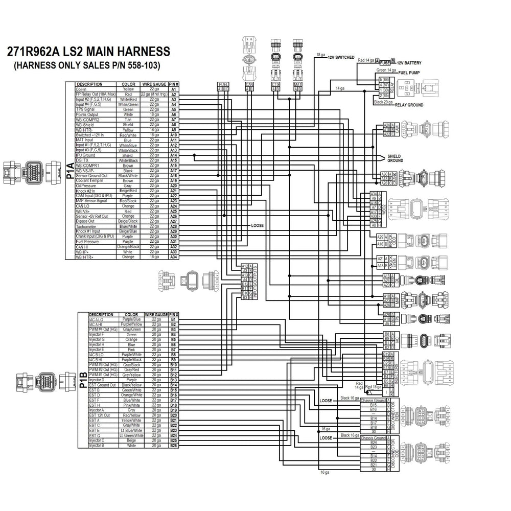Technical diagram of a LS 58x Terminator X ECU with labeled components on a white background.