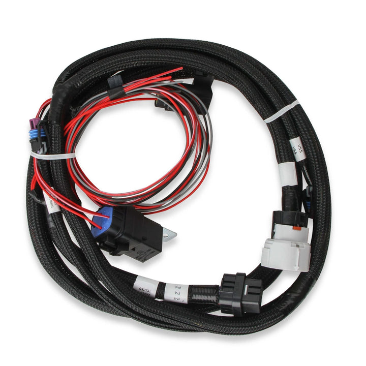 A coiled black automotive wiring harness for Terminator X Max for 5.3 6.0 LS engine with multiple connectors, including a blue-painted terminal and white label bands, photographed on a plain white background.