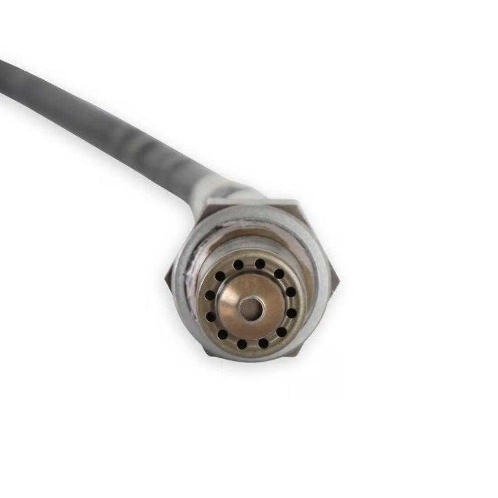 A close-up of a Holley Terminator X Bosch wideband O2 sensor, shown against a plain white background.