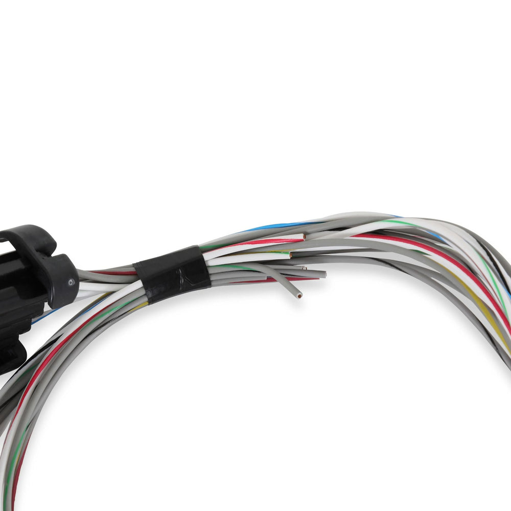 Close-up of Holley 558-462 I/O harness with connectors on a white background