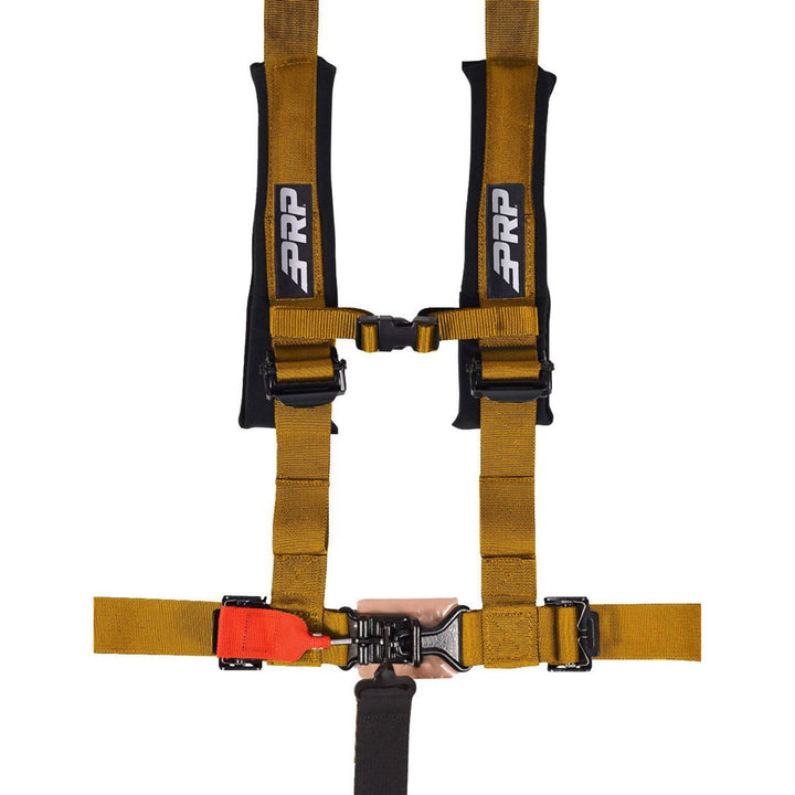 Gold 2 inch padded 5 point harness with PRP logo on a white background