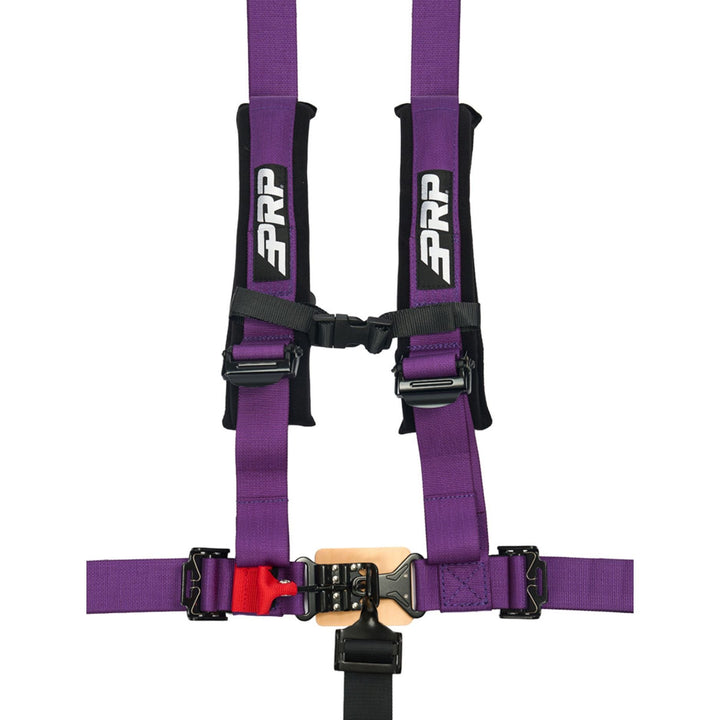 Purple 2 inch padded 5 point harness with PRP logo on a white background