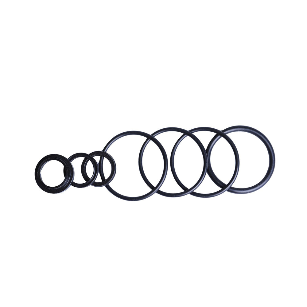 Set of black rubber o-rings for SEALKIT 009 Radflo rebuild kit on a white background
