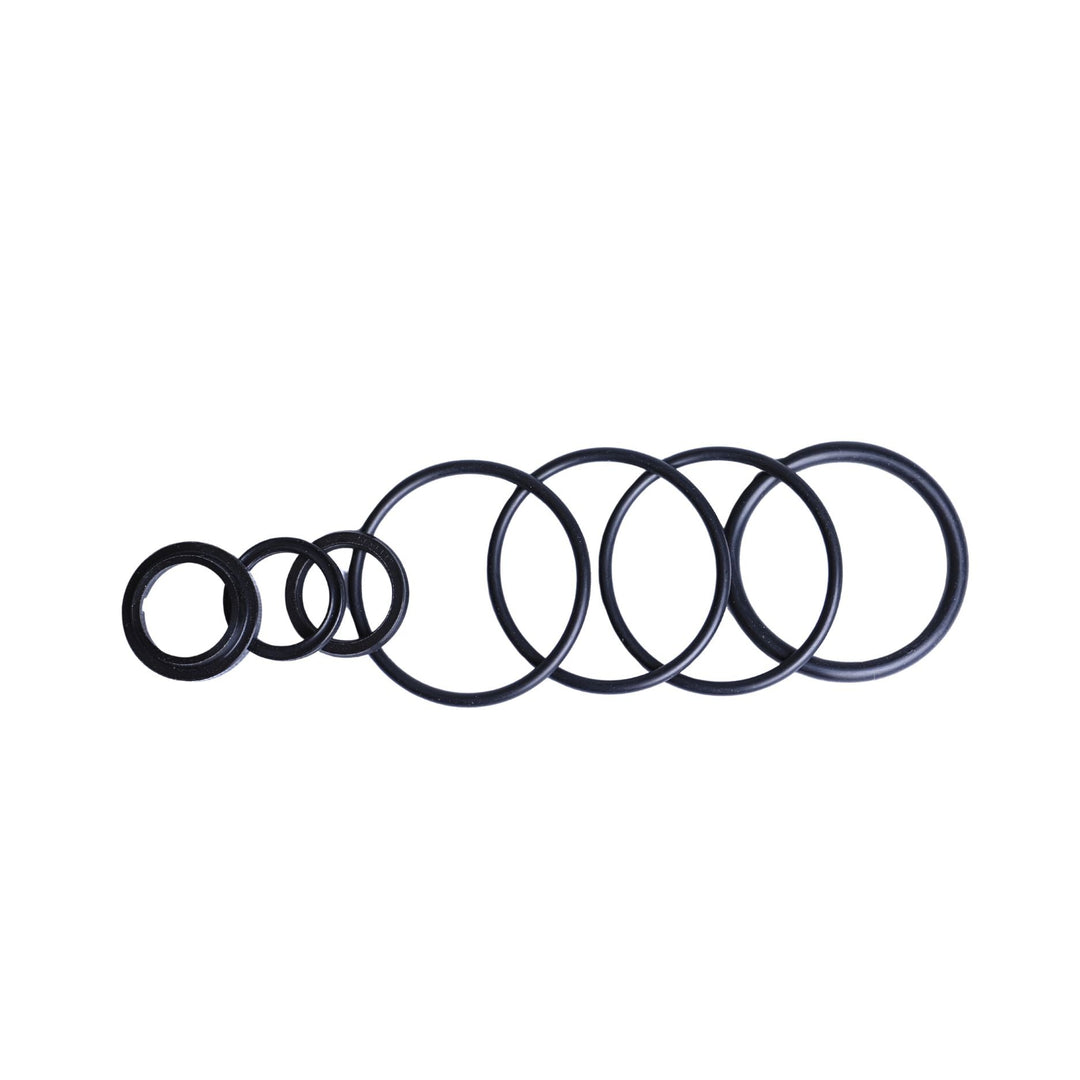 Set of black rubber o-rings for SEALKIT 009 Radflo rebuild kit on a white background