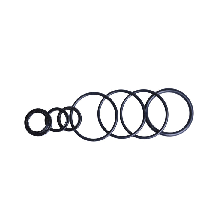 Set of black rubber o-rings for SEALKIT 009 Radflo rebuild kit on a white background